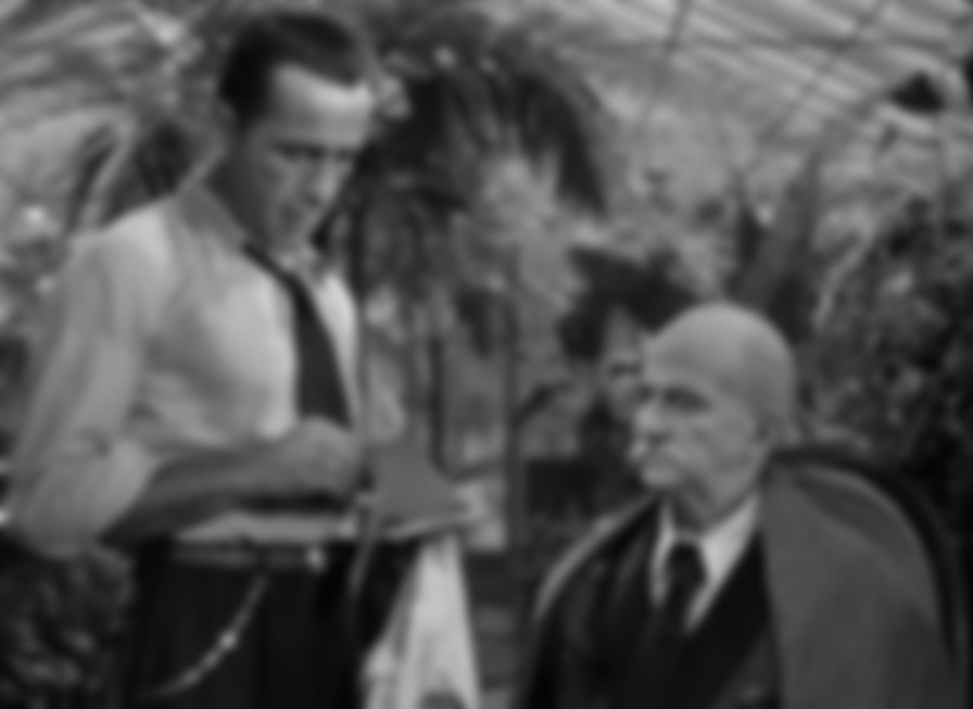 The Big Sleep backdrop