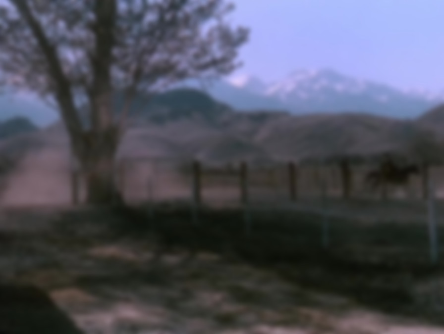 The Nevadan backdrop