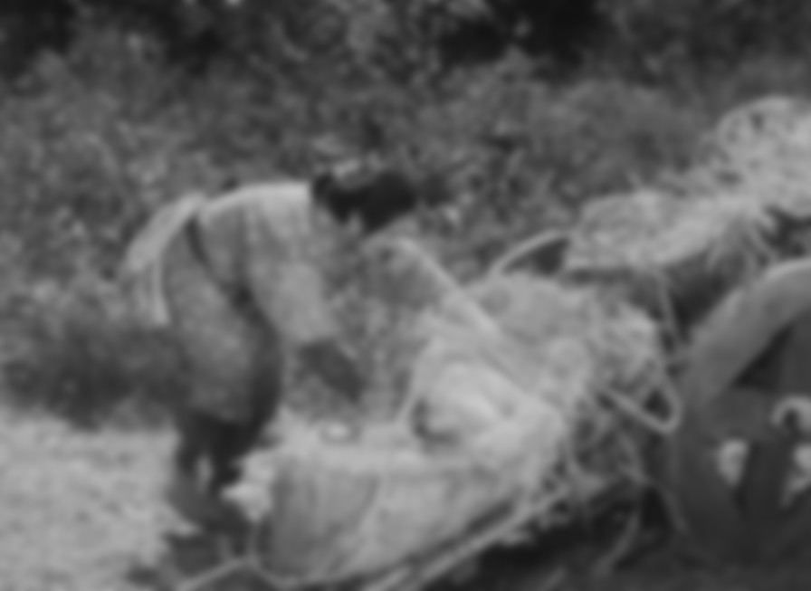 Ugetsu backdrop