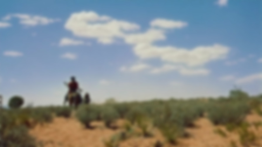 The Searchers backdrop