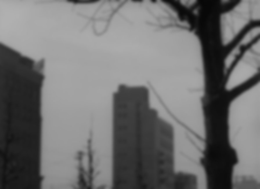 Tokyo Twilight backdrop