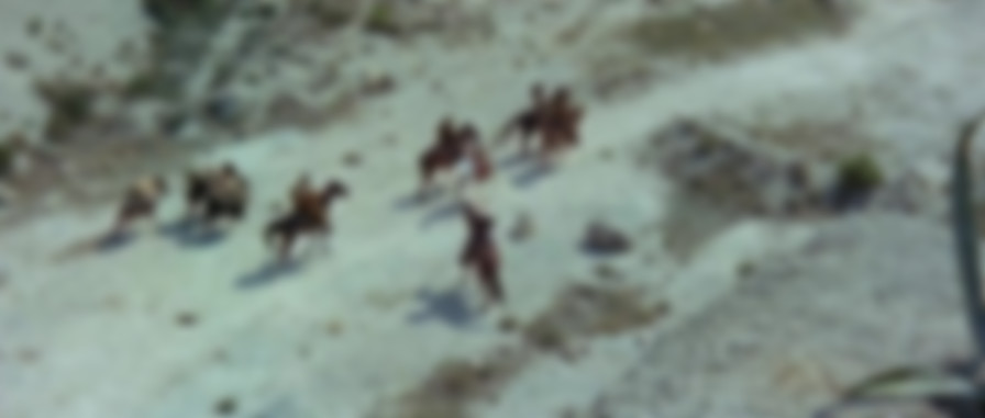 Winnetou und sein Freund Old Firehand backdrop