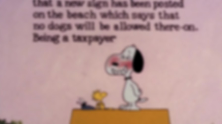 Snoopy Come Home backdrop