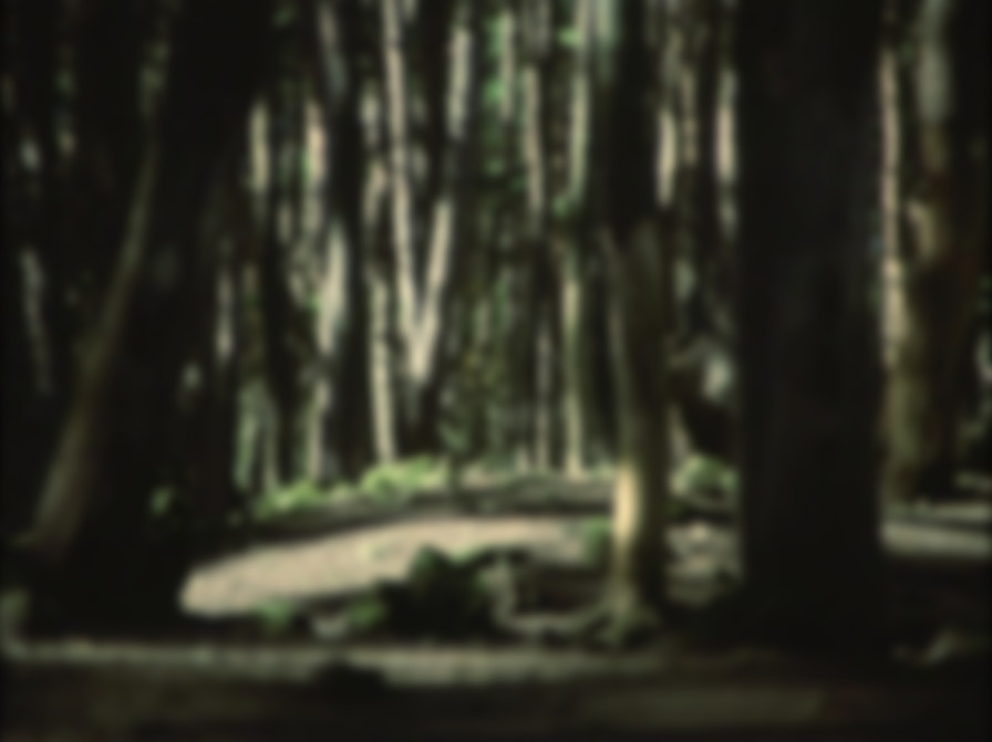Himiko backdrop