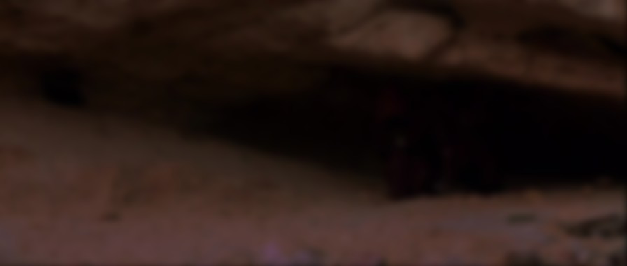 Star Wars: Episode IV - A New Hope backdrop