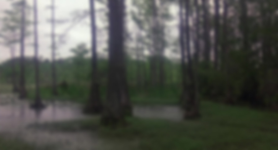 Swamp Thing backdrop