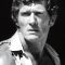 Brad Harris
