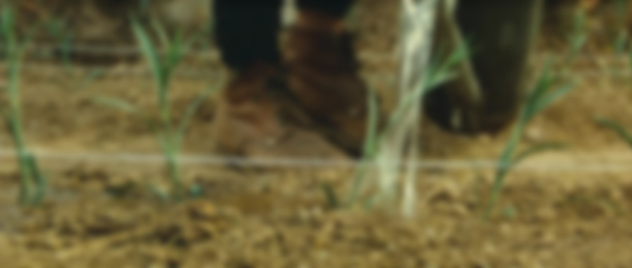 Jean de Florette backdrop