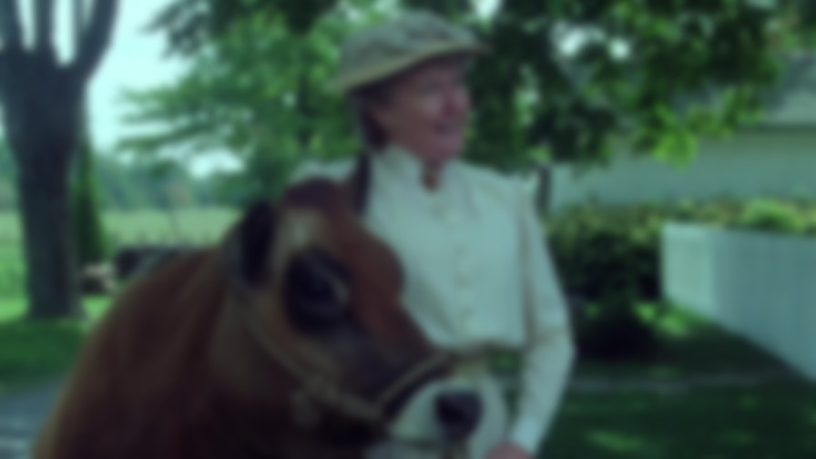Anne of Avonlea backdrop