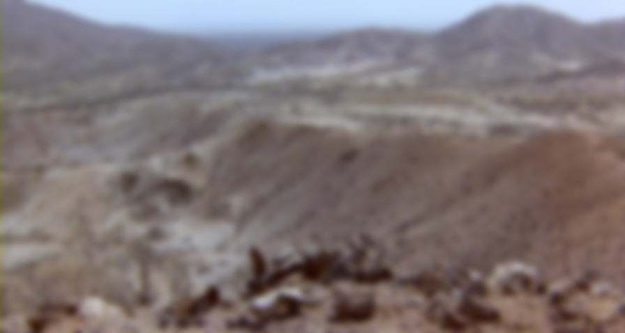 Cobra Verde backdrop