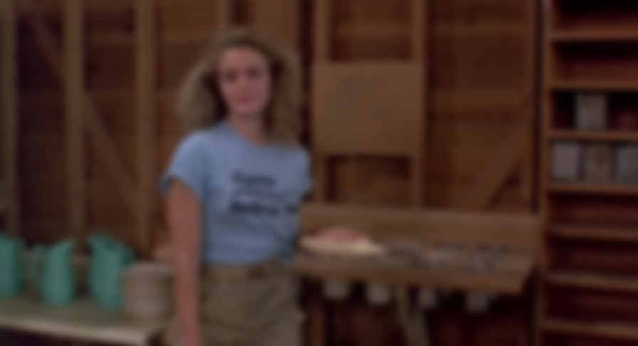 Sleepaway Camp II: Unhappy Campers backdrop