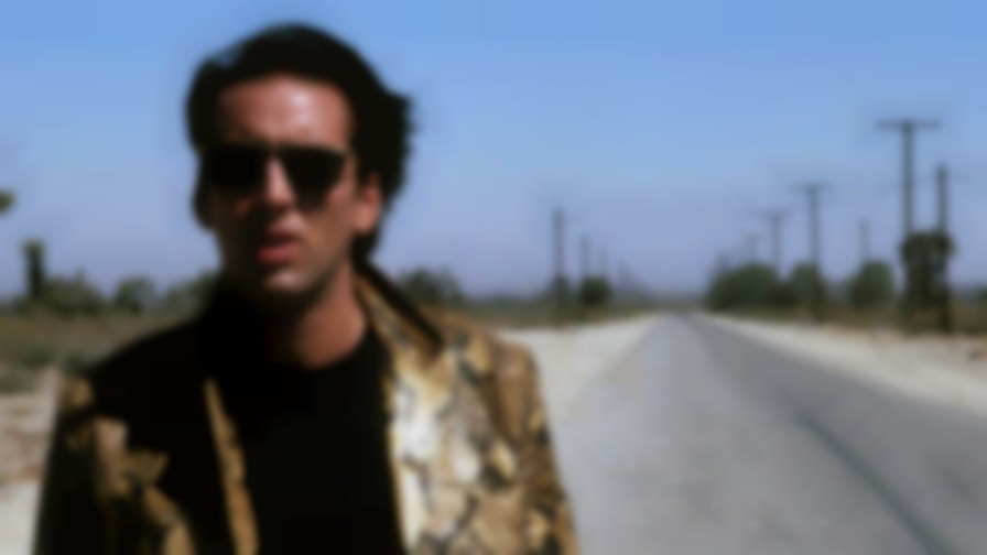 Wild at Heart backdrop