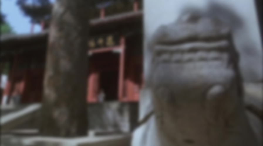 Tai Chi Master backdrop