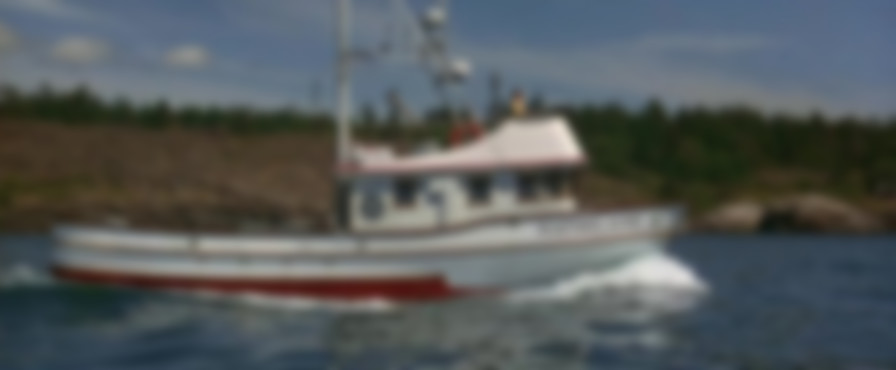 Free Willy 2: The Adventure Home backdrop