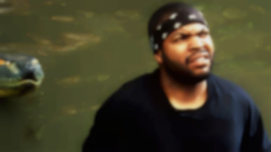 Anaconda backdrop