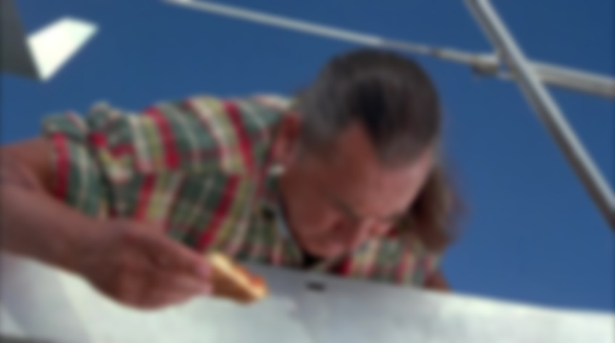Free Willy 3: The Rescue backdrop
