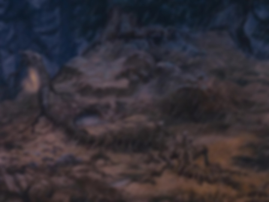 The Treasure of Swamp Castle backdrop