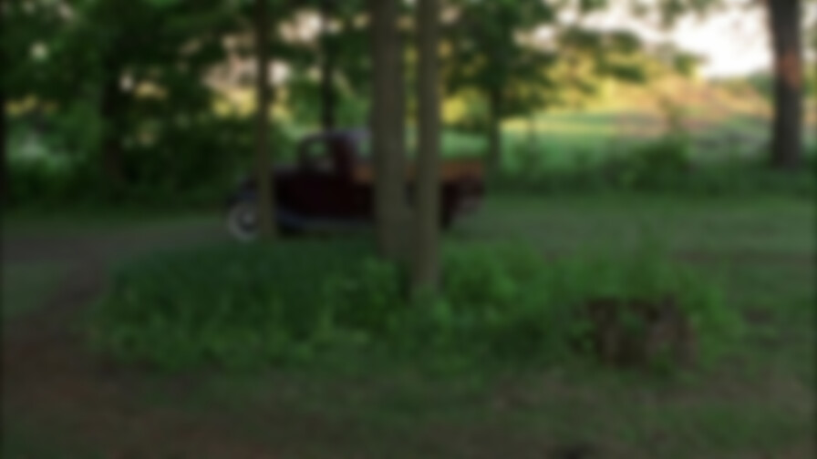 Run the Wild Fields backdrop