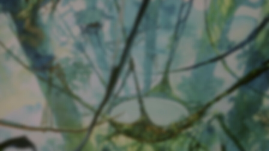 A Monkey's Tale backdrop