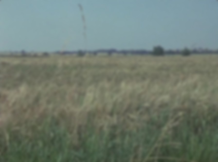 Play for Today Penda's Fen backdrop