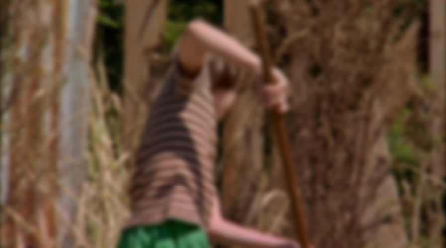 The Sandlot 2 backdrop