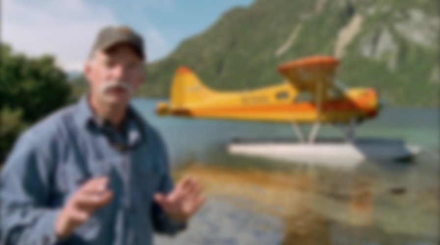 Grizzly Man backdrop