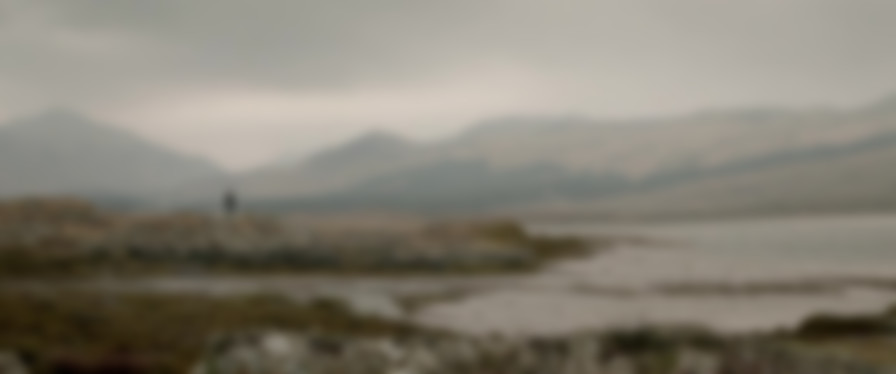 Shepherd backdrop