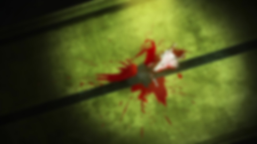 The Garden of Sinners: Overlooking View backdrop