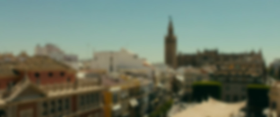 Sevillanas de Brooklyn backdrop
