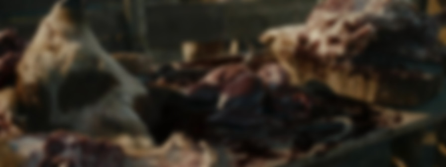 Old Henry backdrop
