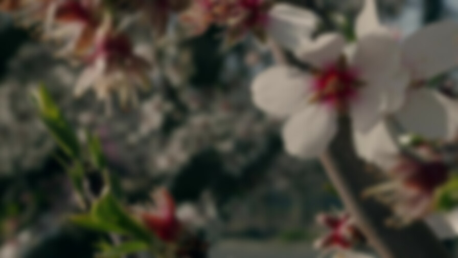 Lyvia's House backdrop