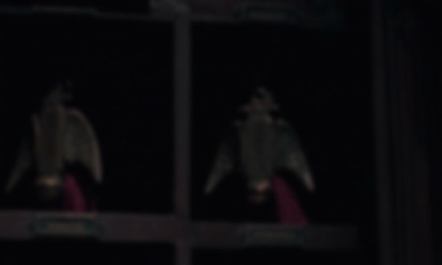 The Eternal Daughter backdrop
