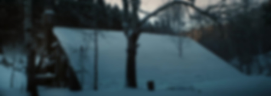 Last Survivors backdrop