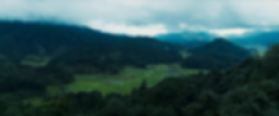 Bhediya backdrop