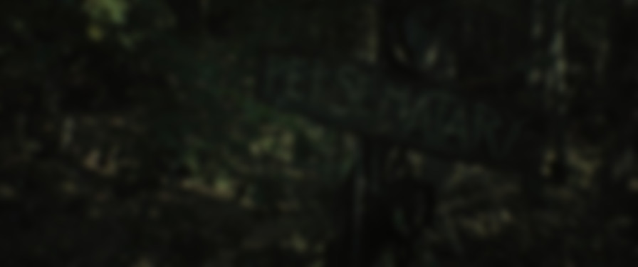 Pet Sematary: Bloodlines backdrop