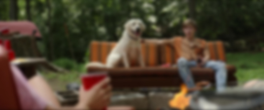 Dog Gone backdrop