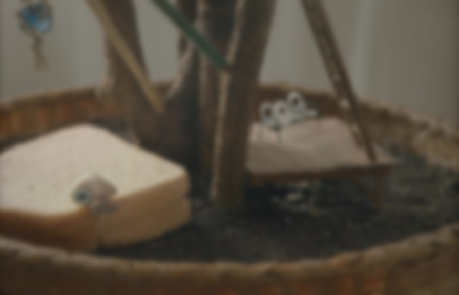 Marcel the Shell with Shoes On backdrop