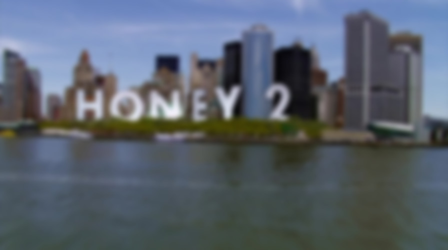 Honey 2 backdrop