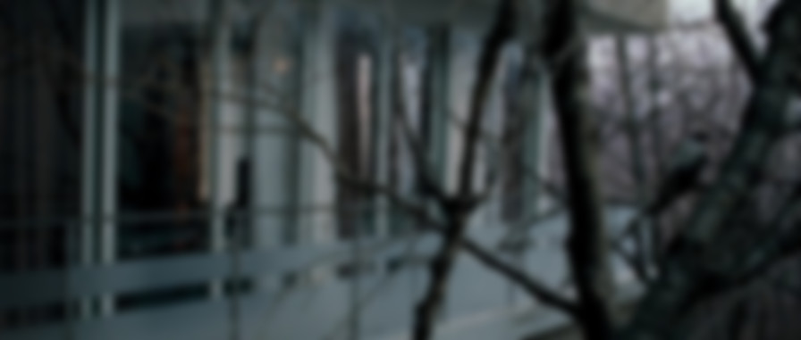 Elena backdrop