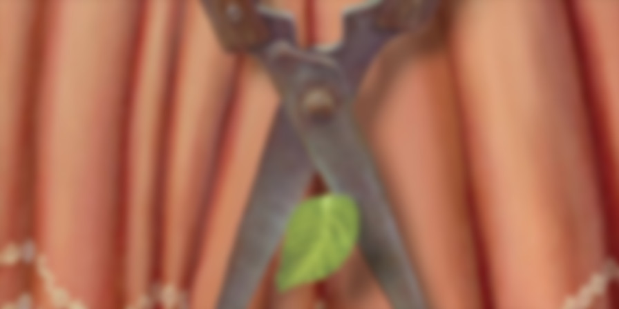 Another Simple Favor backdrop