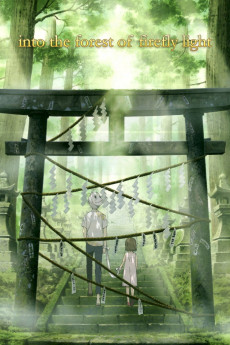 To the Forest of Firefly Lights