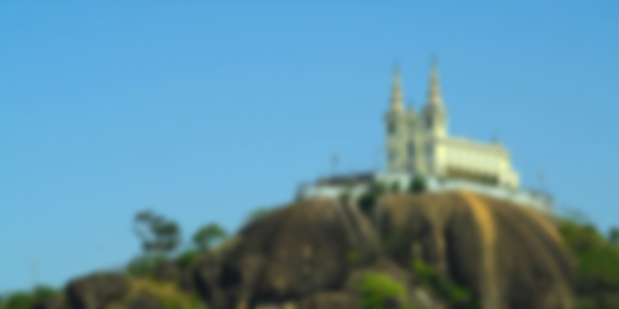 A Cut Above backdrop