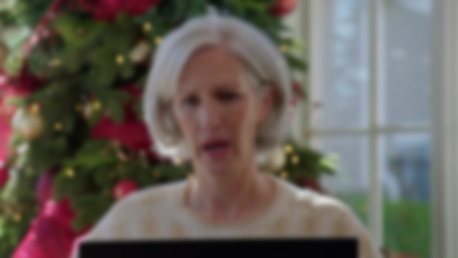 Haul Out the Holly backdrop