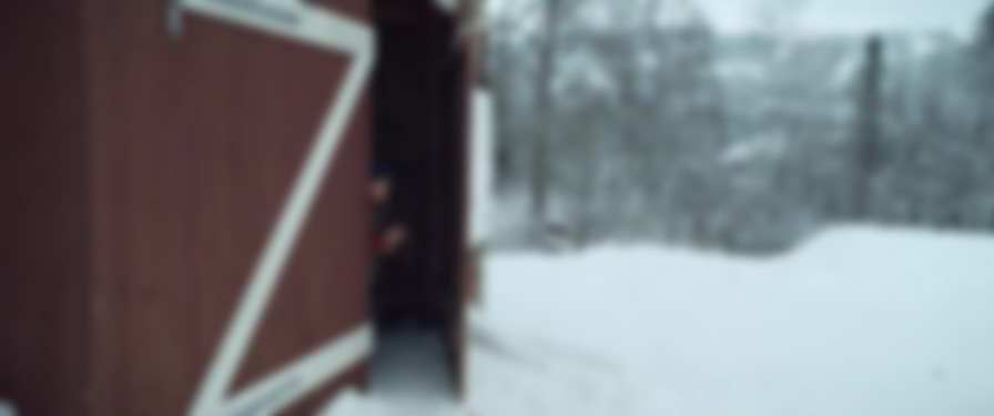 There's Something in the Barn backdrop