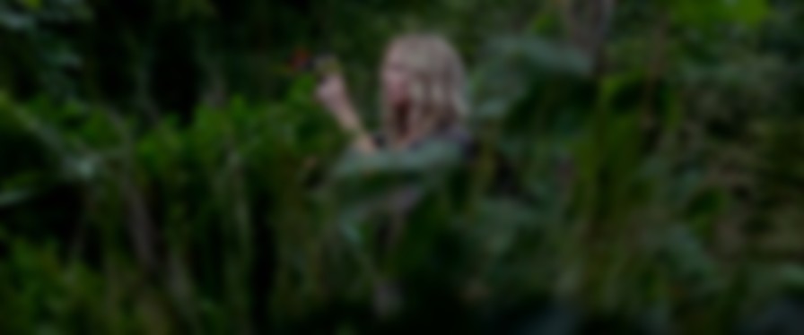 The Disappointments Room backdrop