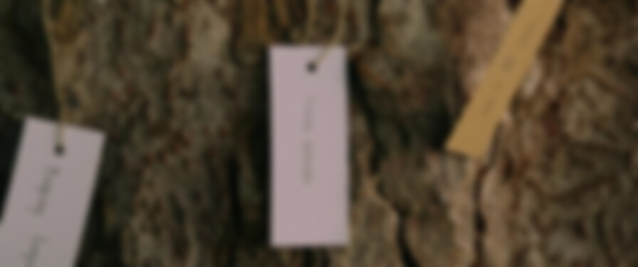 Green Bones backdrop