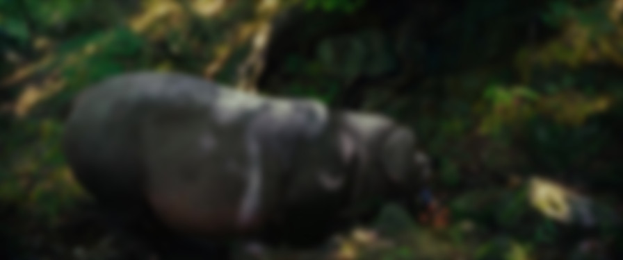 Okja backdrop