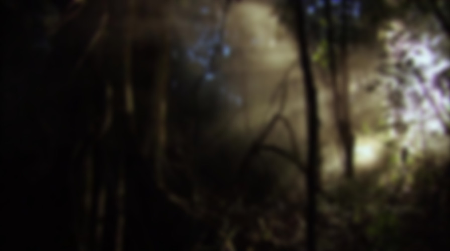Enigma Man a Stone Age Mystery backdrop