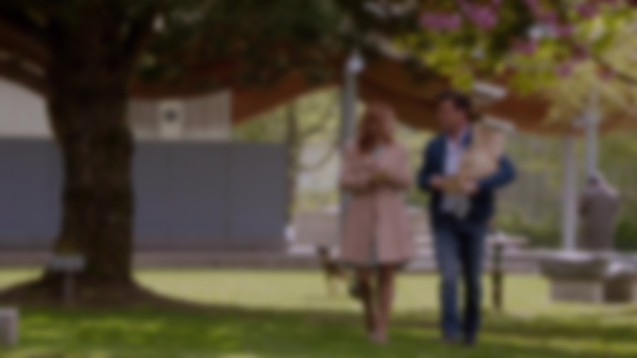 The Julius House: An Aurora Teagarden Mystery backdrop