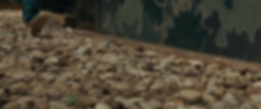 The Skeleton's Compass backdrop